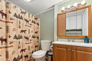 68 Colburn Farm Rd, Newbury, NH 03255 - Photo 24