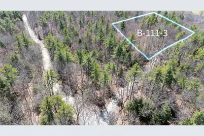 Tbd Jones Road, Hillsboro, NH 03244 - Photo 4