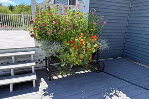 109 Old Center Rd, Deerfield, NH 03037 - Photo 52
