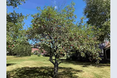 109 Old Center Road, Deerfield, NH 03037 - Photo 48