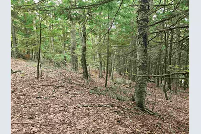 Map 132 Lot 115 Arrowhead Lane, Gilmanton, NH 03237 - Photo 4