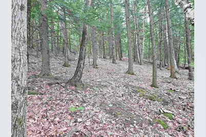 Map 132 Lot 115 Arrowhead Lane, Gilmanton, NH 03237 - Photo 6