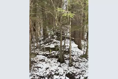 00 Hodgdon Road, Alexandria, NH 03222 - Photo 10