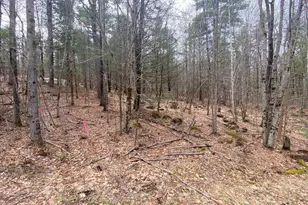 00 Winnipesaukee Dr, Wolfeboro, NH 03894 - Photo 26