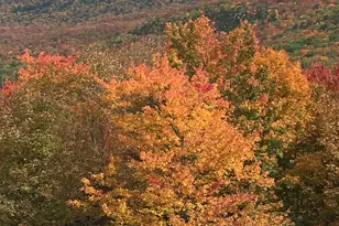 1063 New Hampshire Route 25, Warren, NH 03279 - Photo 2