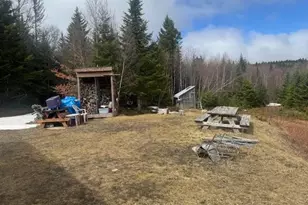 639 Pinnicle Rd, Newark, VT 05871 - Photo 38