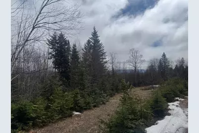 639 Pinnicle Road, Newark, VT 05871 - Photo 32