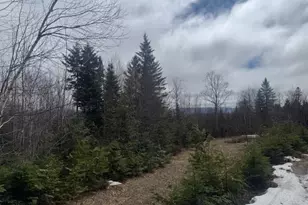 639 Pinnicle Rd, Newark, VT 05871 - Photo 32