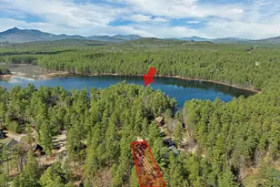206 E Chocorua River Dr, Tamworth, NH 03886 - Photo 4