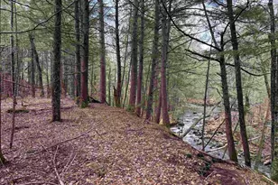 3039 US Route 3, Thornton, NH 02385 - Photo 2