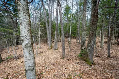 00 Rte 153/ Eaton Road, Eaton, NH 03832 - Photo 18