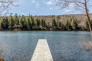 331 Chalk Pond Rd, Newbury, NH 03255 - Photo 10