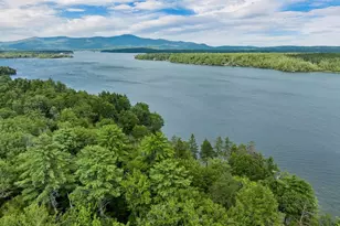 22 Cow Island, Tuftonboro, NH 03816 - Photo 36