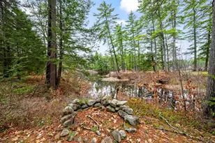 134 &amp 136 Brownfield Rd, Conway, NH 03813 - Photo 56