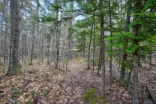 2500 West Side Rd, Conway, NH 03860 - Photo 48