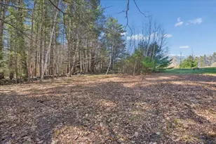 88 Patten Hill Rd, Candia, NH 03034 - Photo 30