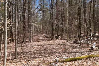 0 Puckerbrush Road, Campton, NH 03223 - Photo 12