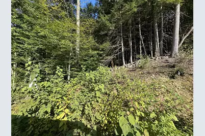 90 Old Swanzey Road, Winchester, NH 03470 - Photo 6