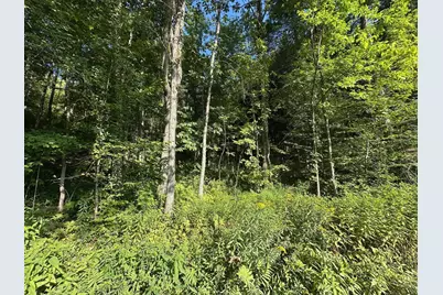90 Old Swanzey Road, Winchester, NH 03470 - Photo 4