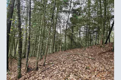 Lot 265 King Drive, Haverhill, NH 03765 - Photo 14