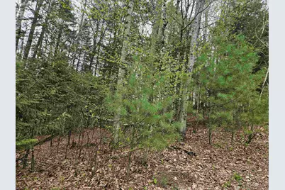 Lot 265 King Drive, Haverhill, NH 03765 - Photo 12