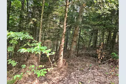 Lot 265 King Drive, Haverhill, NH 03765 - Photo 4