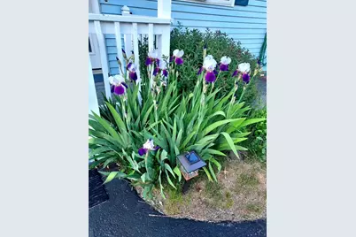 6 Marilyn Drive, Belmont, NH 03220 - Photo 50