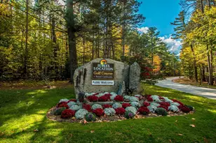 138 Samuel Hale Dr, Hale's Location, NH 03860 - Photo 60