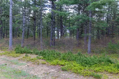 36 Logan Way, Ossipee, NH 03890 - Photo 8