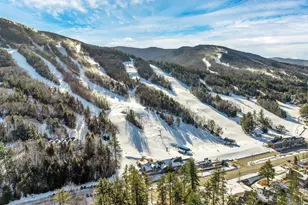 20F Seasons At Attitash Rd, Bartlett, NH 03812 - Photo 56