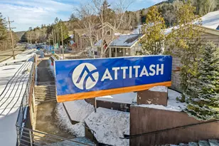 20F Seasons At Attitash Rd, Bartlett, NH 03812 - Photo 58