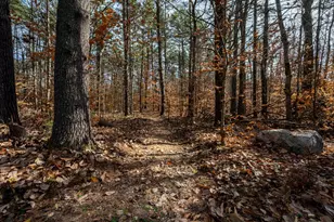 135 Pine River Path, Effingham, NH 03882 - Photo 34