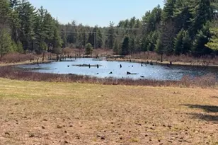 117 Ruonala Rd, Milford, NH 03055 - Photo 8
