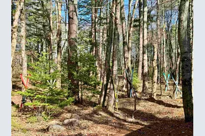 2659 Nh Route 16, Albany, NH 03818 - Photo 34