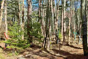 2659 Nh Route 16, Albany, NH 03818 - Photo 44