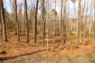 87 Sullivan Dr, Stewartstown, NH 03576 - Photo 46