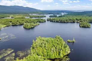 2 Little Badger Island, Moultonborough, NH 03254 - Photo 46