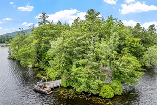 2 Little Badger Island, Moultonborough, NH 03254 - Photo 2