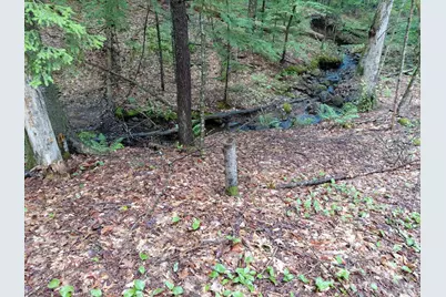 Mitchell Road, Thornton, NH 03223 - Photo 4