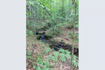 Mitchell Road, Thornton, NH 03223 - Photo 6