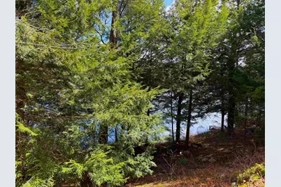 Tall Timber Drive, Grantham, NH 03753 - Photo 4