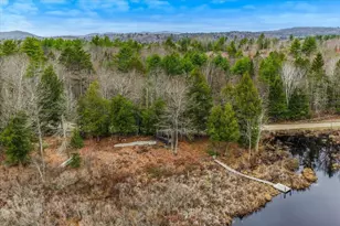 66 Colleague Pond Rd, Henniker, NH 03242 - Photo 52