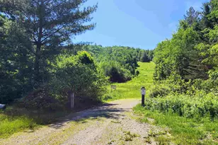 15 Wildcat Dr, Haverhill, NH 03785 - Photo 58