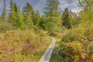 79 Nason Rd, Sugar Hill, NH 03586 - Photo 8
