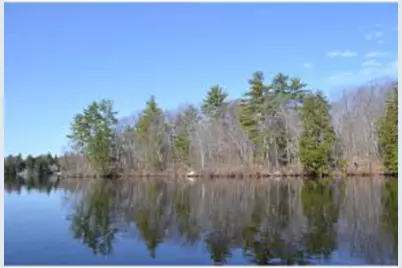 65.4 Gansy Island, Moultonborough, NH 03254 - Photo 16
