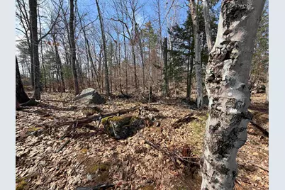 65.4 Gansy Island, Moultonborough, NH 03254 - Photo 10
