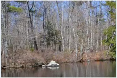 65.4 Gansy Island, Moultonborough, NH 03254 - Photo 18