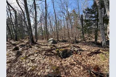 65.4 Gansy Island, Moultonborough, NH 03254 - Photo 8