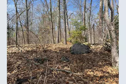65.4 Gansy Island, Moultonborough, NH 03254 - Photo 20