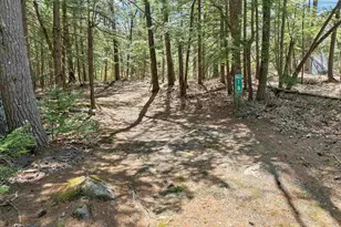 318 Kings Hwy, New Durham, NH 03855 - Photo 18